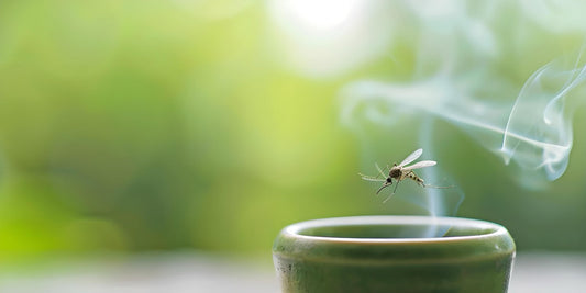 Bị Muỗi Đốt Sưng To, Ngứa Điên Đảo? Bỏ Túi Ngay 16+ Mẹo Trị Muỗi Đốt Tại Nhà Cực Đỉnh!