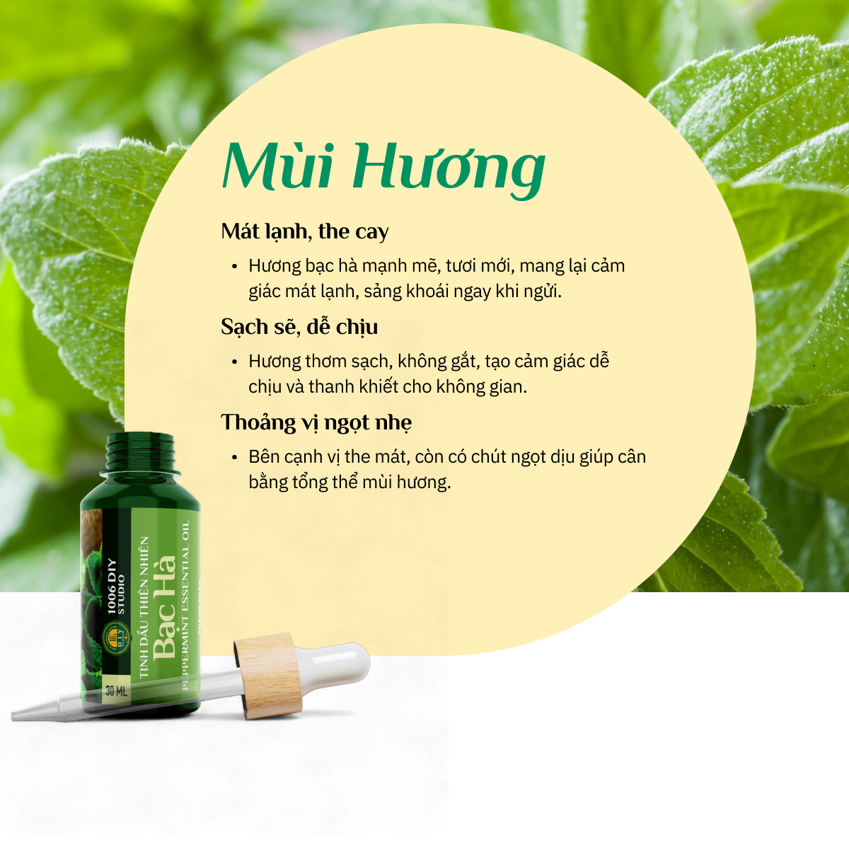 Tinh Dầu Bạc Hà Hữu Cơ Nguyên Chất 100%
