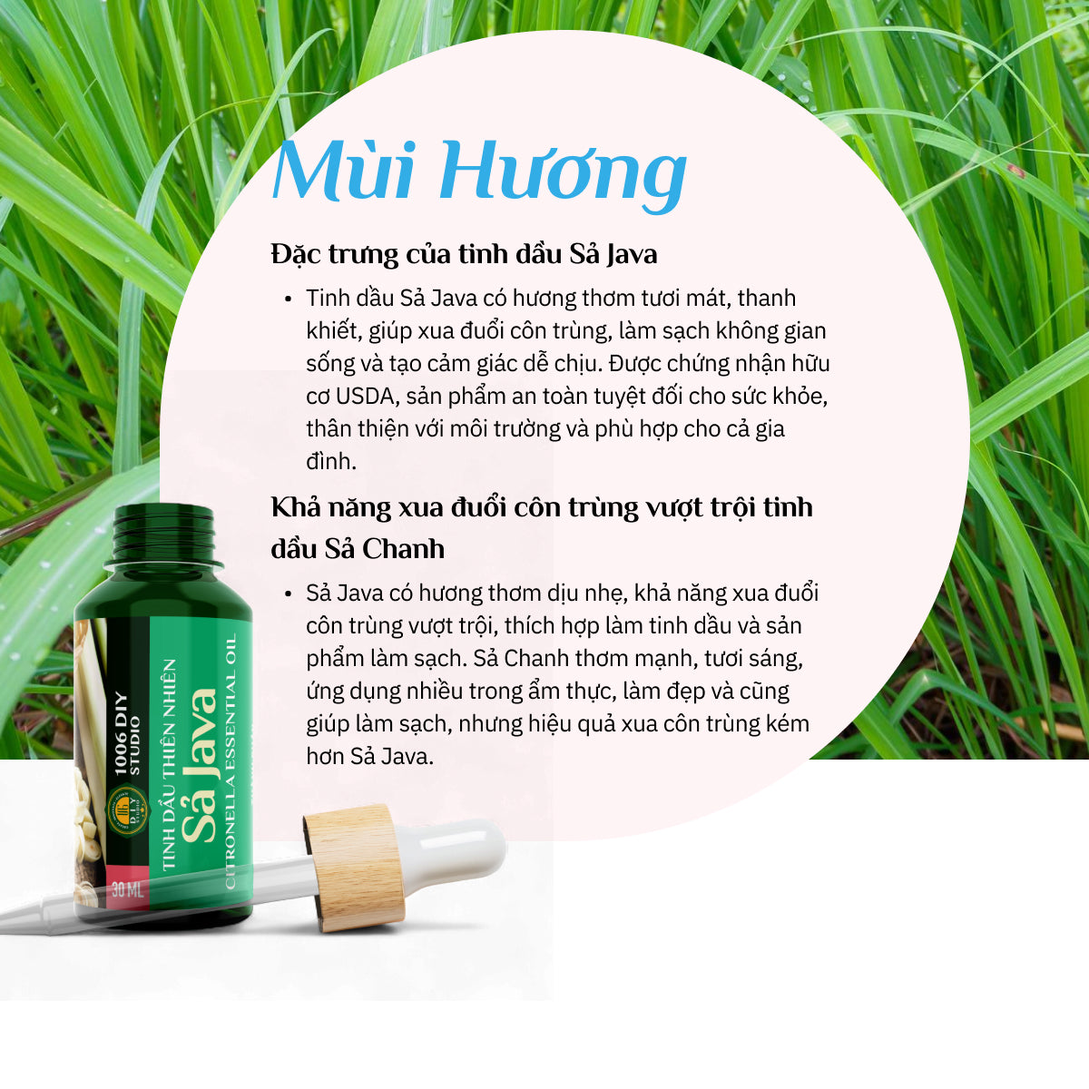 Tinh Dầu Sả Java Hữu Cơ 100% Nguyên Chất