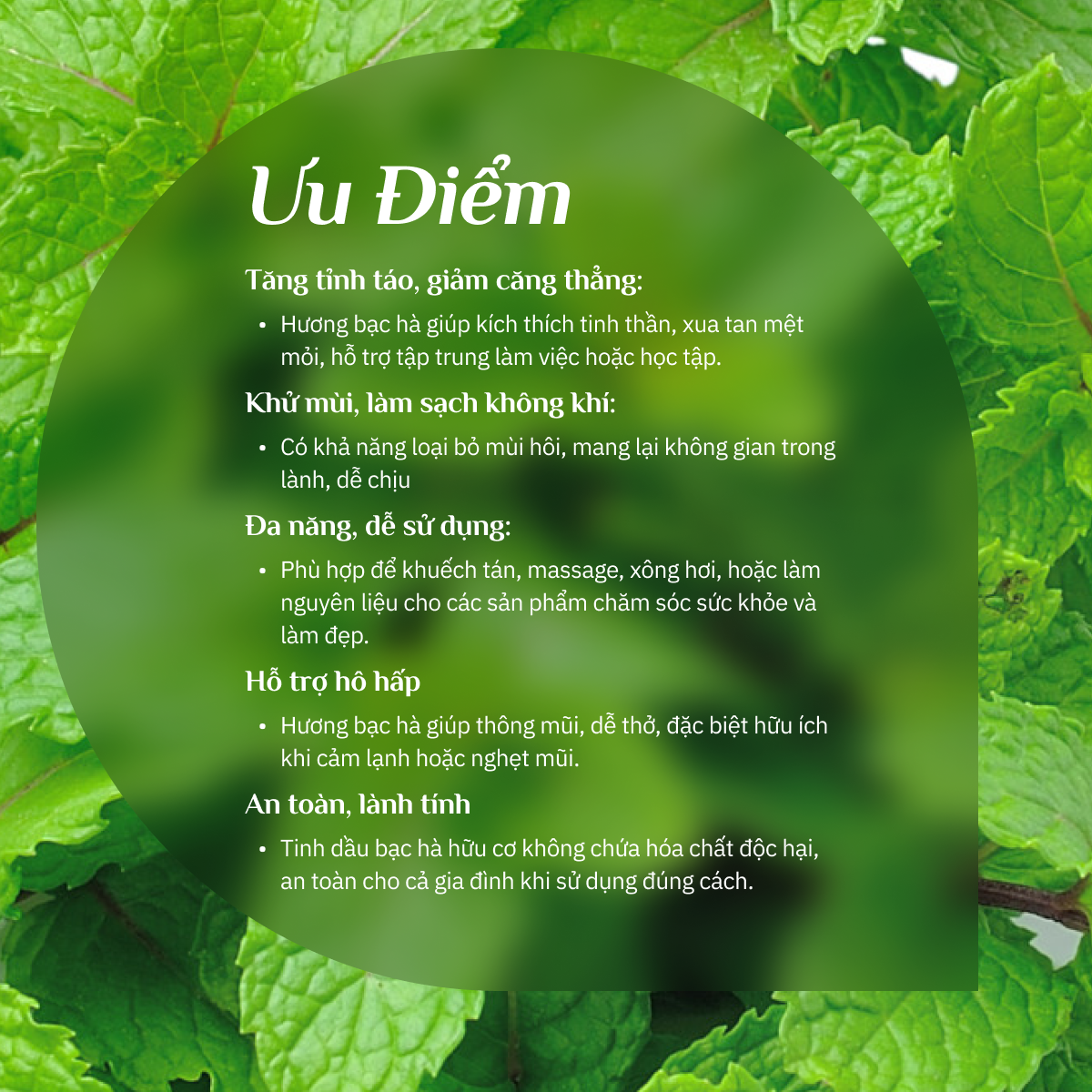 Tinh Dầu Bạc Hà Hữu Cơ Nguyên Chất 100%