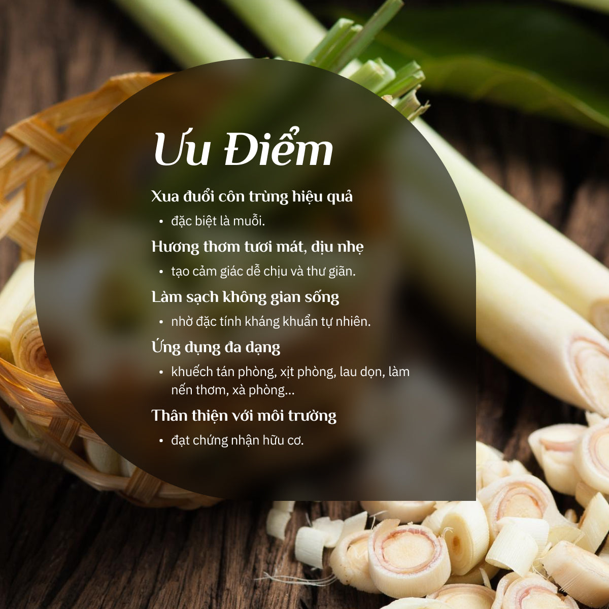 Tinh Dầu Sả Java Hữu Cơ 100% Nguyên Chất
