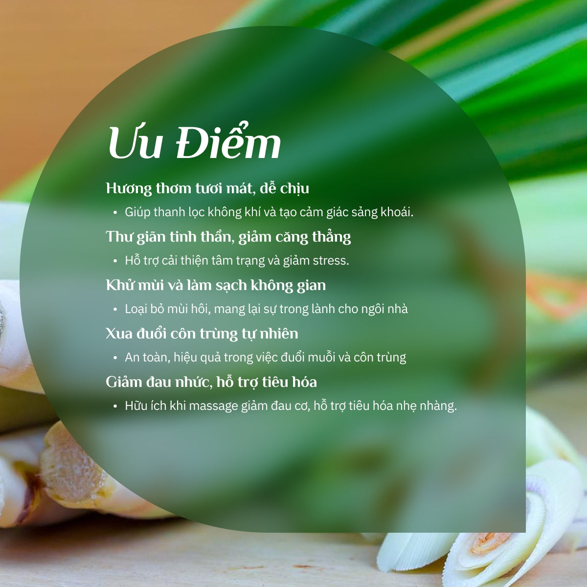 Tinh Dầu Sả Chanh Nguyên Chất 100%