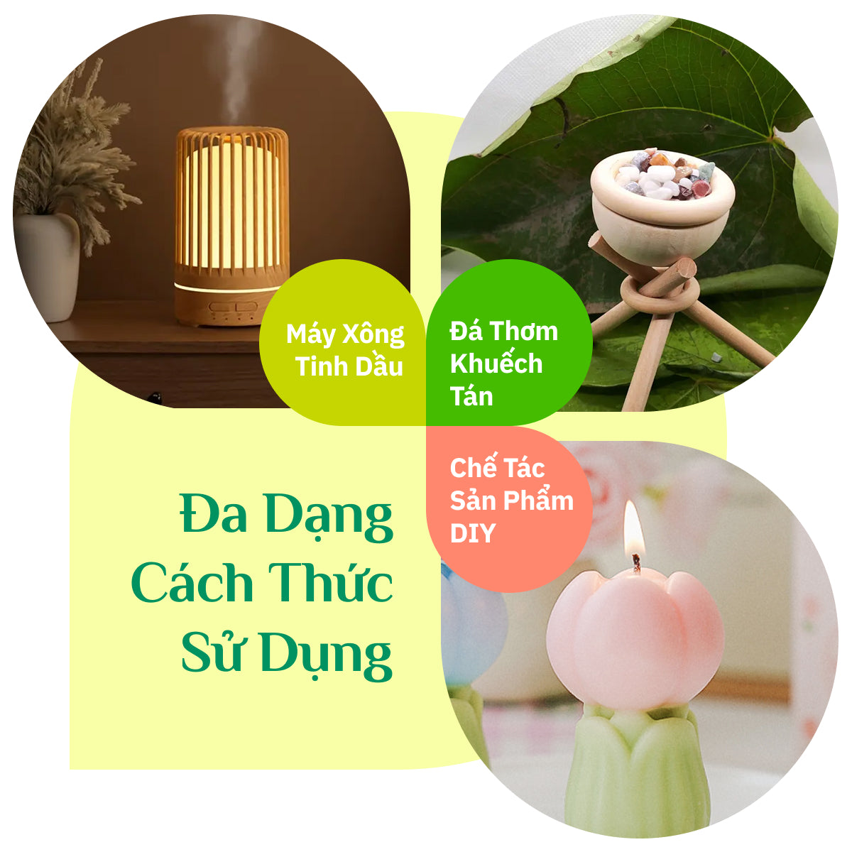 Tinh Dầu Bạc Hà Hữu Cơ Nguyên Chất 100%