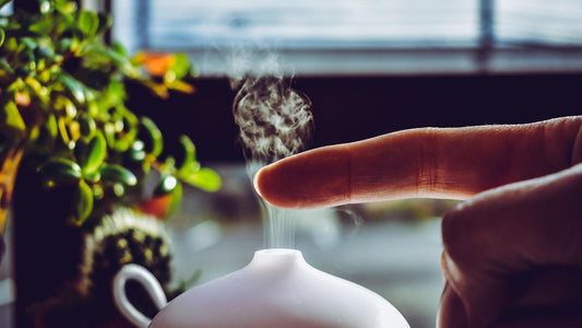 Tinh Dầu Sả Java: "Vệ Sĩ" Thiên Nhiên Cho Gia Đình Bạn Không Chỉ Để Đuổi Muỗi