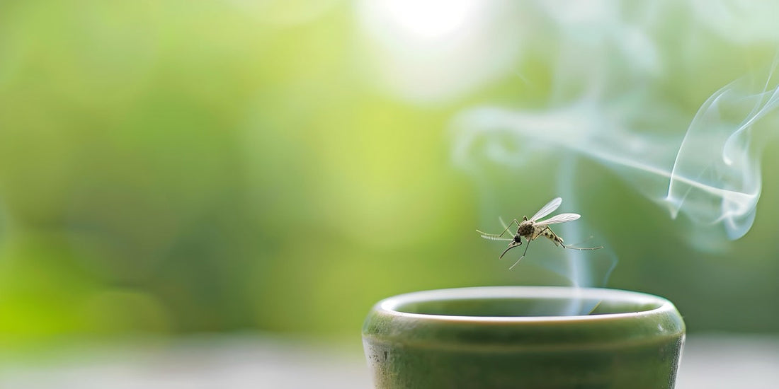 Bị Muỗi Đốt Sưng To, Ngứa Điên Đảo? Bỏ Túi Ngay 16+ Mẹo Trị Muỗi Đốt Tại Nhà Cực Đỉnh!