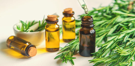 Hướng Dẫn Sử Dụng Tinh Dầu Từ A-Z: Bí Quyết An Toàn & Hiệu Quả Cho Người Mới Bắt Đầu