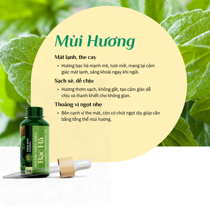 Tinh Dầu Bạc Hà Hữu Cơ Nguyên Chất 100%