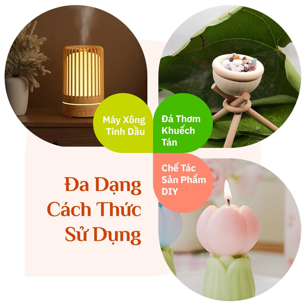 Tinh Dầu Vỏ Quế Nguyên Chất - Xông Phòng Thơm Ấm, Thư Giãn, Đuổi Côn Trùng