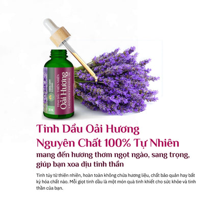 Tinh Dầu Oải Hương Lavender Nguyên Chất