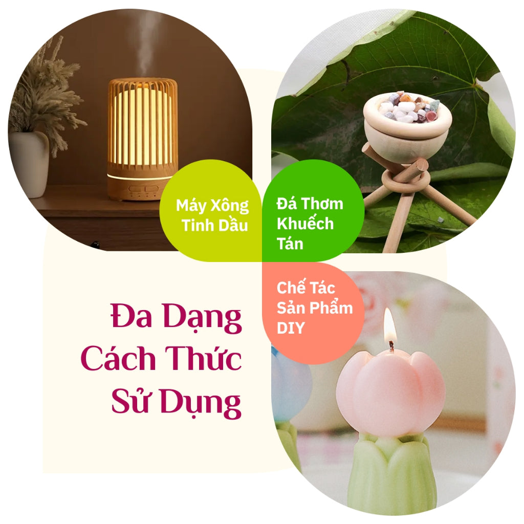 Tinh Dầu Oải Hương Lavender Nguyên Chất