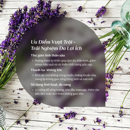 Tinh Dầu Oải Hương Lavender Nguyên Chất